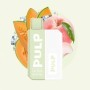 Kit Pêche Melon - Pod Flip by Pulp - Duo fruité rond & juteux