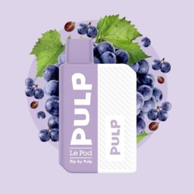 Kit Raisin Noir - Pod Flip by Pulp - Arôme fruité profond & sucré