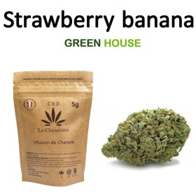 Strawberry Banana CBD – Fleur Greenhouse – Fraise & Bubble Gum – La Chènevière