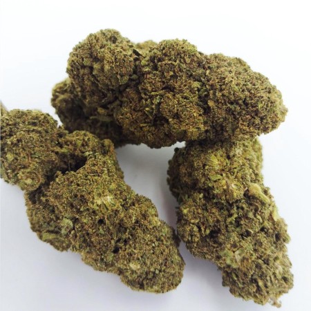 Gorilla CBD 100g – Fleur Greenhouse – Nouvelle Récolte