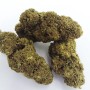 Gorilla CBD 100g – Fleur Greenhouse – Nouvelle Récolte
