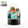 Fleur Mango Kush CBD 2.5G - Sunset CBD Hemplab